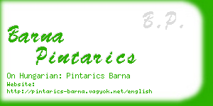 barna pintarics business card